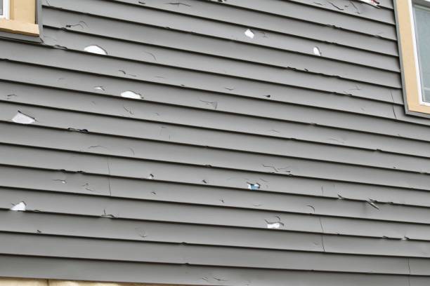 Best Dumpster Rental Services  in Speedway, IN
