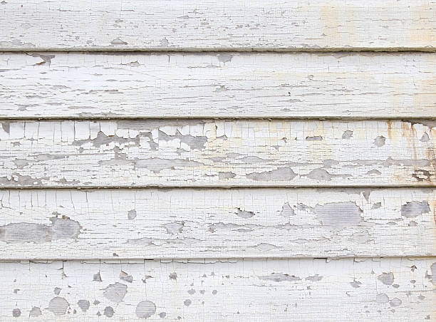 Best Hoarding Cleanup  in Speedway, IN