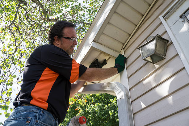 Best Carpet Removal and Disposal  in Speedway, IN